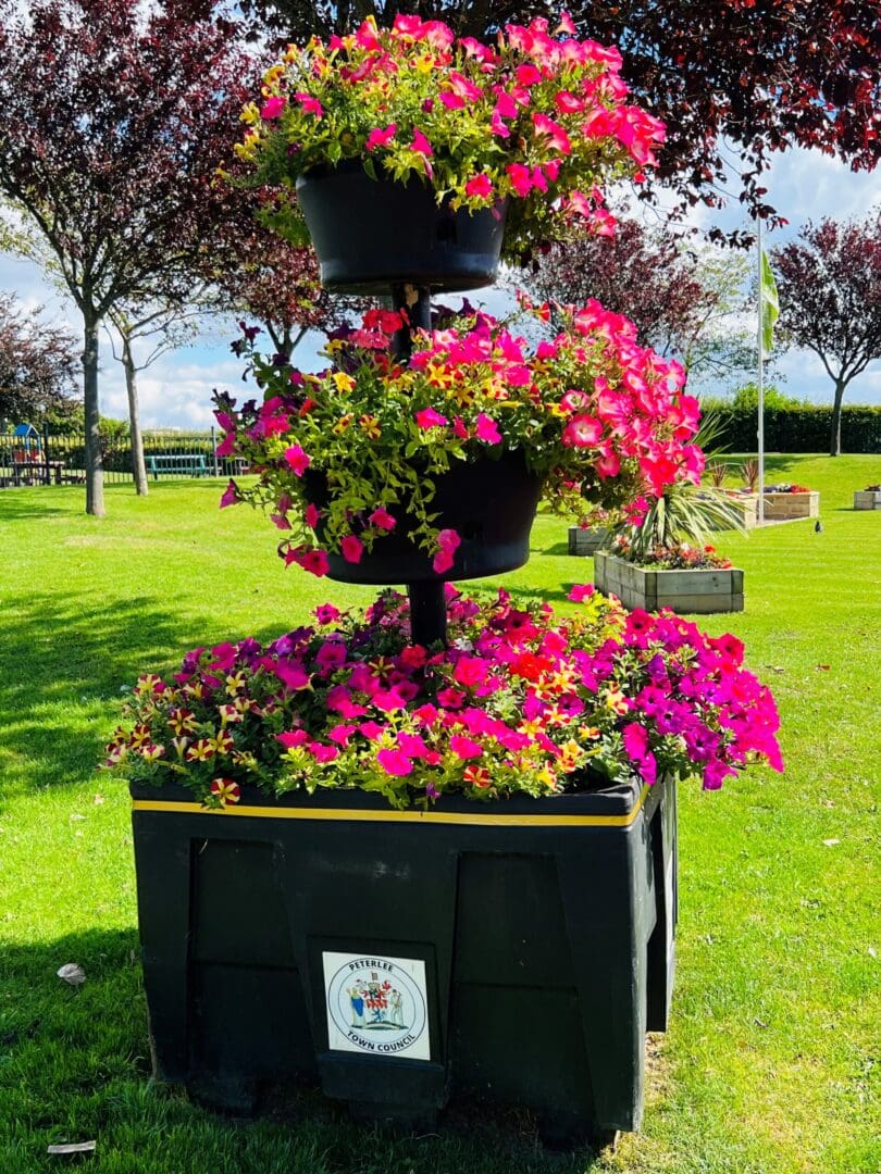 A Photo of tiered flowers at Woodhouse Park