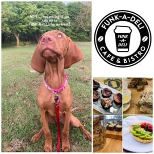 This is a collage of images of a dog and some tasty treats from the Funkadeli Bistro