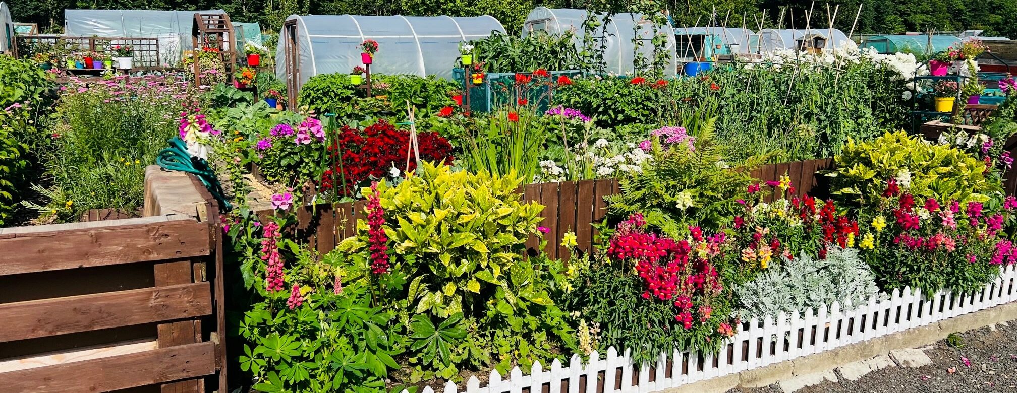 A photo of a beautiful allotment entry from 2023